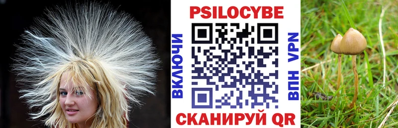 Псилоцибиновые грибы MAGIC MUSHROOMS  Купить закладки  Тында 