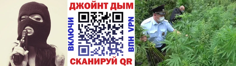 Бошки марихуана план  Купить  Тында 